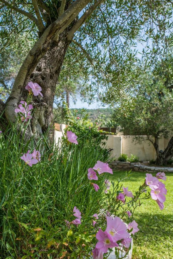 Corfu Villa Linea Linia Ngoại thất bức ảnh