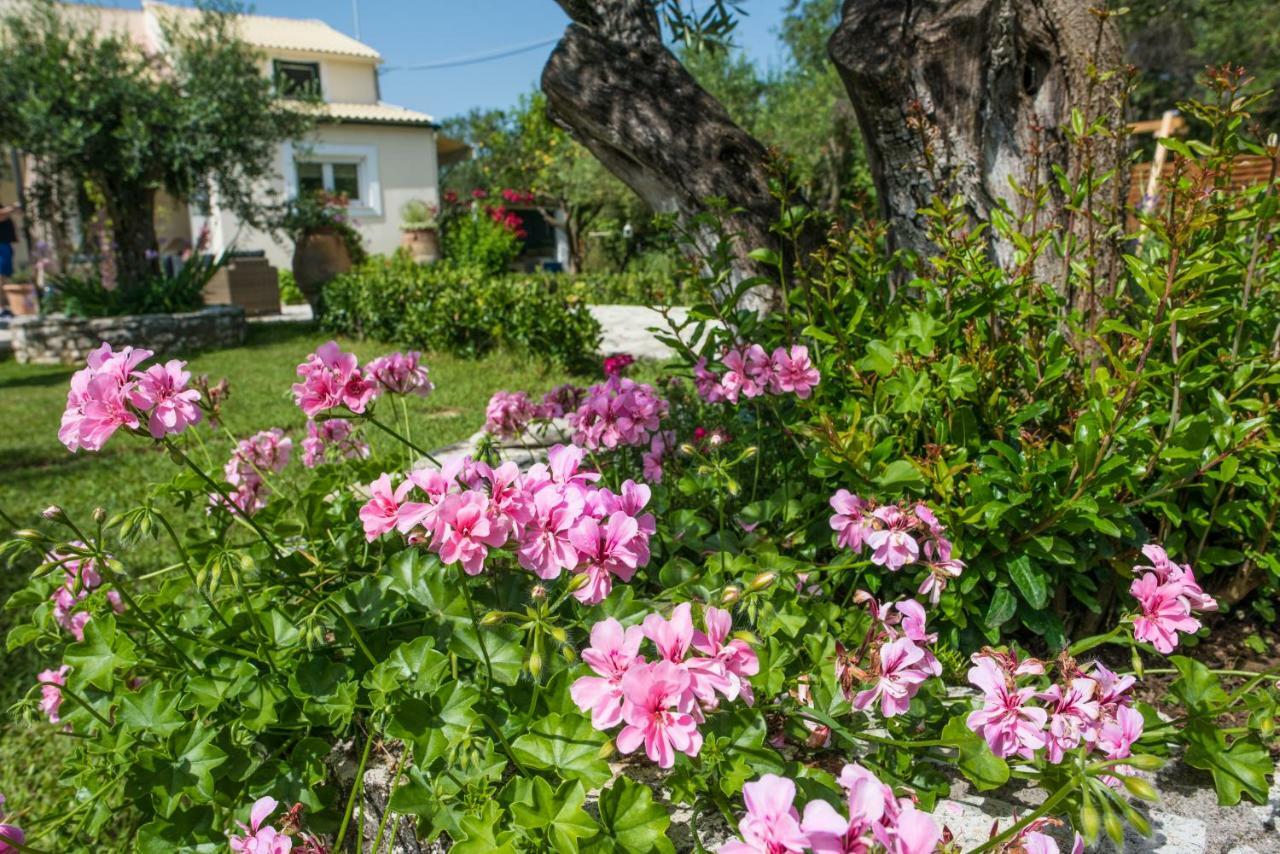 Corfu Villa Linea Linia Ngoại thất bức ảnh